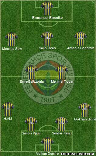 Fenerbahçe SK Formation 2013