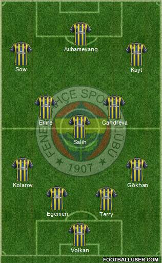 Fenerbahçe SK Formation 2013