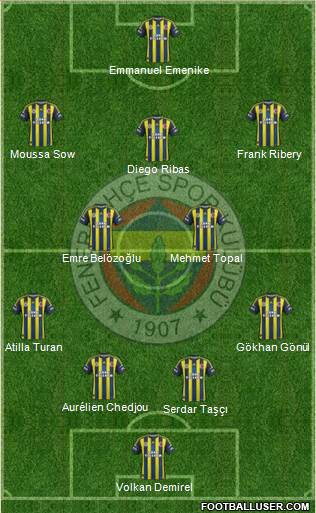 Fenerbahçe SK Formation 2013