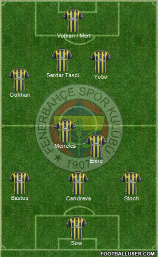 Fenerbahçe SK Formation 2013
