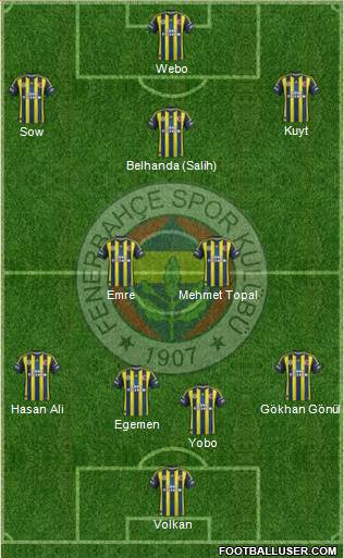 Fenerbahçe SK Formation 2013