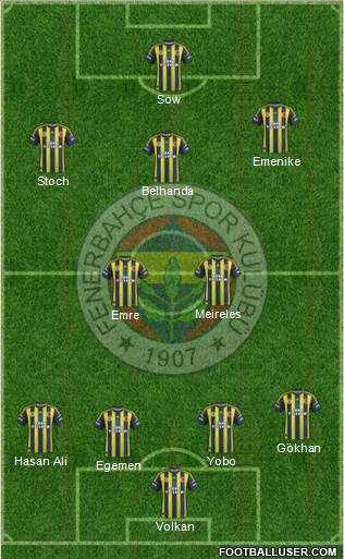 Fenerbahçe SK Formation 2013