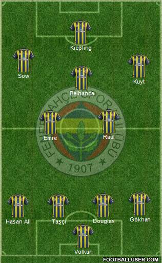 Fenerbahçe SK Formation 2013