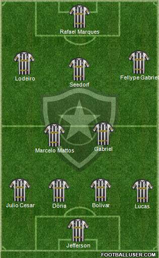 Botafogo FR Formation 2013