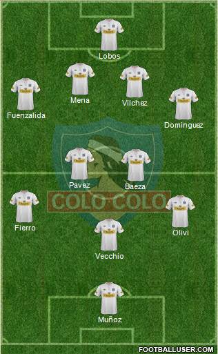 CSD Colo Colo Formation 2013