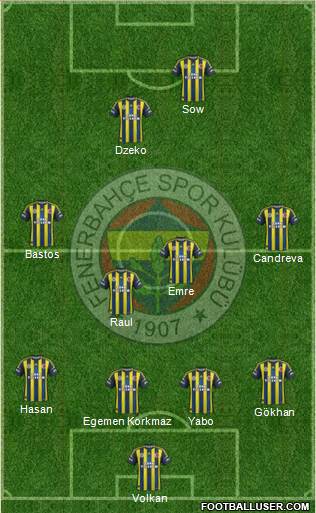 Fenerbahçe SK Formation 2013