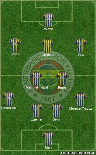 Fenerbahçe SK Formation 2013