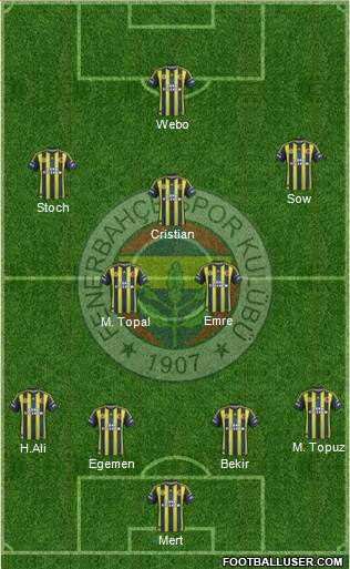 Fenerbahçe SK Formation 2013