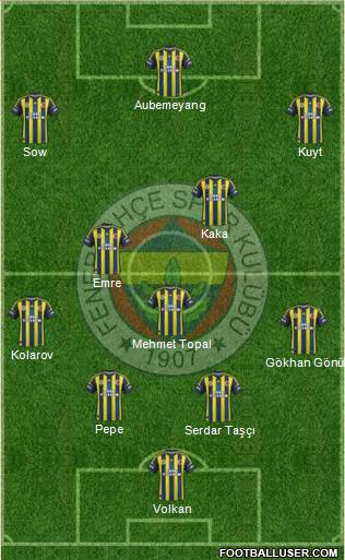 Fenerbahçe SK Formation 2013