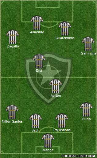 Botafogo FR Formation 2013