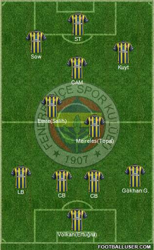 Fenerbahçe SK Formation 2013