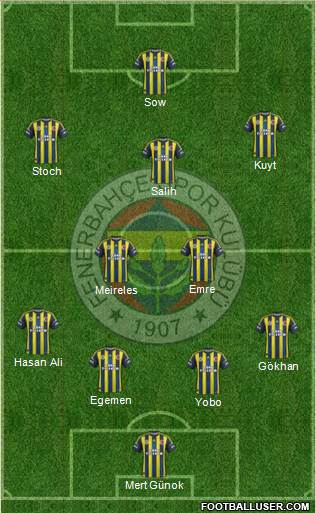 Fenerbahçe SK Formation 2013