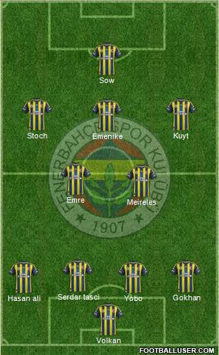 Fenerbahçe SK Formation 2013