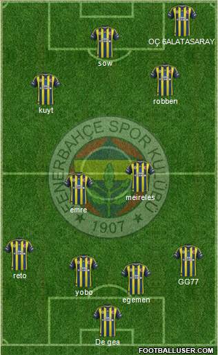 Fenerbahçe SK Formation 2013