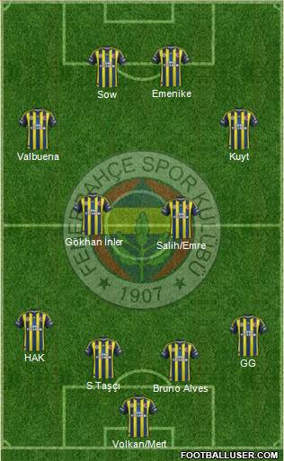 Fenerbahçe SK Formation 2013