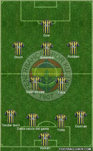 Fenerbahçe SK Formation 2013