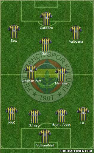 Fenerbahçe SK Formation 2013