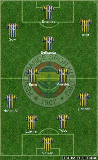 Fenerbahçe SK Formation 2013