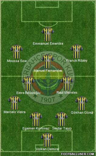 Fenerbahçe SK Formation 2013