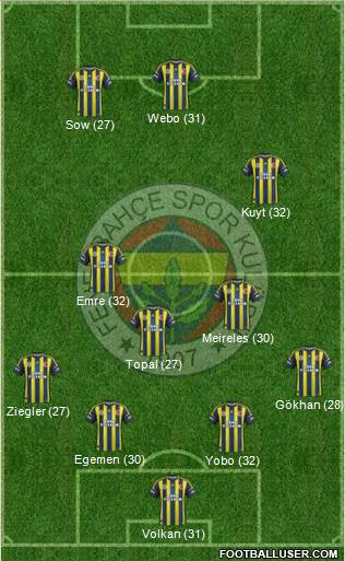 Fenerbahçe SK Formation 2013