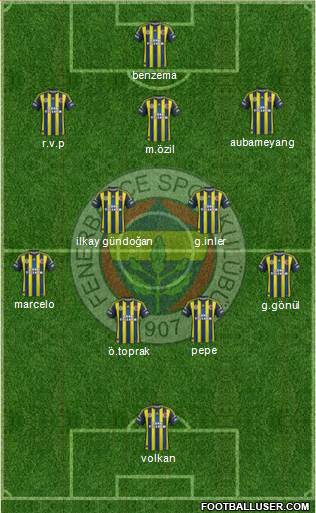 Fenerbahçe SK Formation 2013