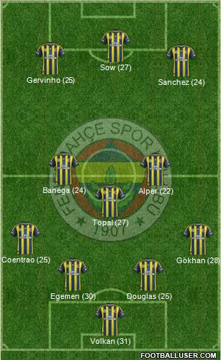Fenerbahçe SK Formation 2013