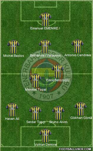 Fenerbahçe SK Formation 2013