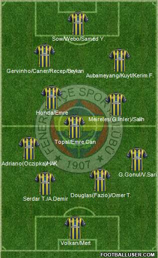 Fenerbahçe SK Formation 2013