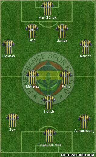 Fenerbahçe SK Formation 2013