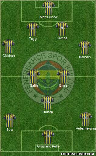 Fenerbahçe SK Formation 2013