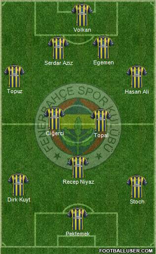 Fenerbahçe SK Formation 2013