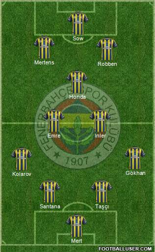 Fenerbahçe SK Formation 2013