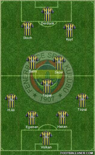 Fenerbahçe SK Formation 2013