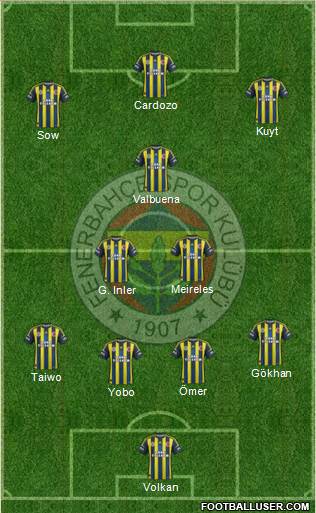Fenerbahçe SK Formation 2013
