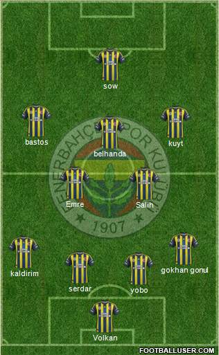 Fenerbahçe SK Formation 2013