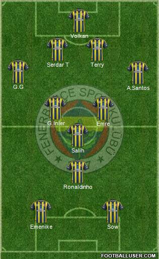 Fenerbahçe SK Formation 2013