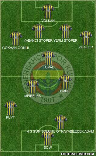 Fenerbahçe SK Formation 2013