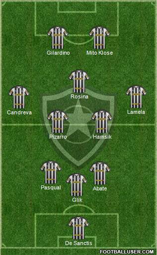 Botafogo FR Formation 2013