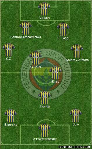 Fenerbahçe SK Formation 2013