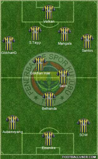 Fenerbahçe SK Formation 2013