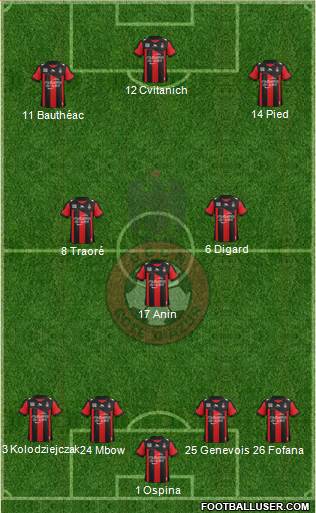 OGC Nice Côte d'Azur Formation 2013