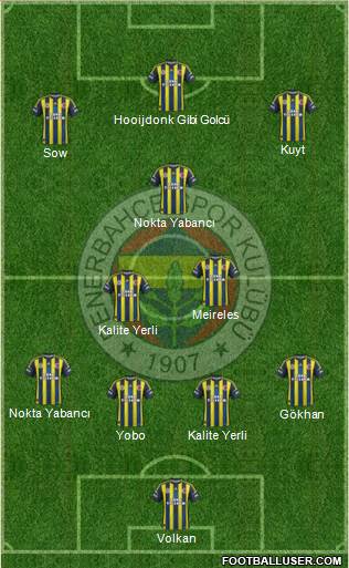 Fenerbahçe SK Formation 2013