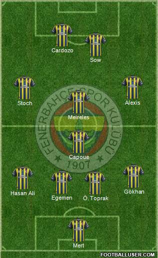 Fenerbahçe SK Formation 2013