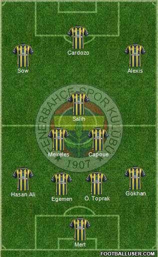 Fenerbahçe SK Formation 2013