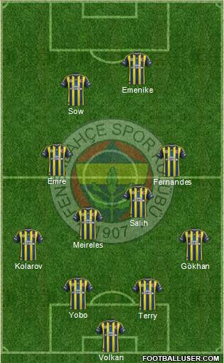 Fenerbahçe SK Formation 2013