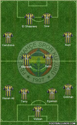 Fenerbahçe SK Formation 2013