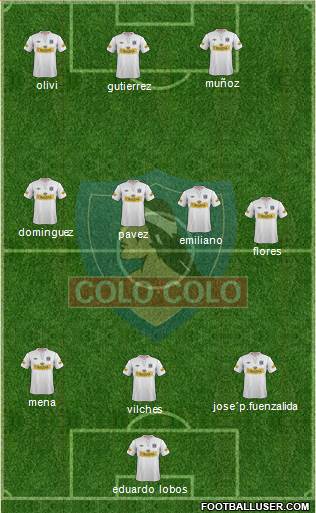 CSD Colo Colo Formation 2013