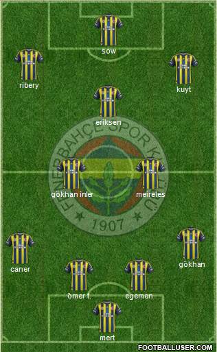 Fenerbahçe SK Formation 2013