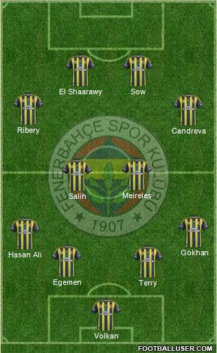 Fenerbahçe SK Formation 2013