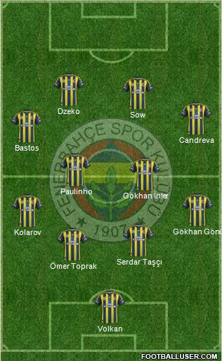Fenerbahçe SK Formation 2013